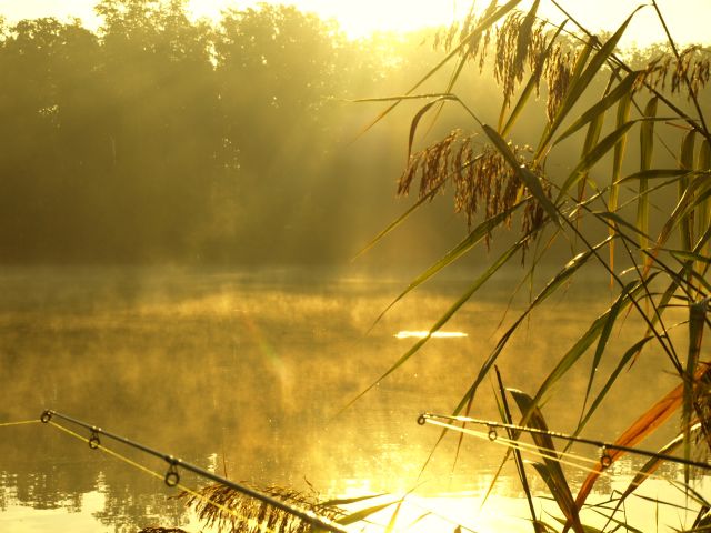 Detail fotografie - Západ slunce, Pardubický kraj