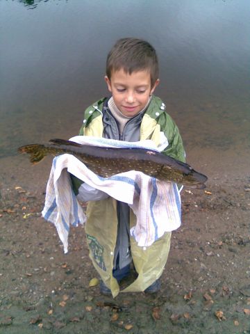 Detail fotografie - Jiné, 2,0 kg, 61 cm, Pardubický kraj