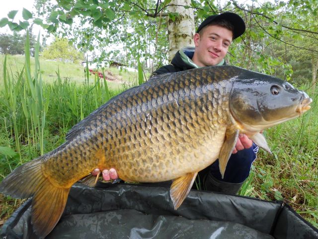 Detail fotografie - Kapr, Boilies Boss2 - Skopex - Ananas, 11,5 kg, 86 cm, Pardubický kraj