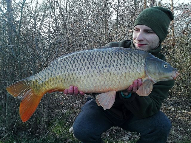 Detail fotografie - Kapr, Boilies Boss2 SPECIAL - Játra - vanilka, Středočeský kraj