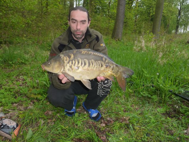 Detail fotografie - Kapr, Boilies Boss2 - Chobotnice, 5,5 kg, 60 cm, Jihomoravský kraj