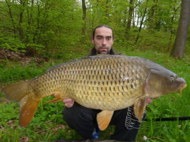 Detail fotografie - Kapr, Boilies Boss2 - Chobotnice, 17,6 kg, 95 cm, Jihomoravský kraj