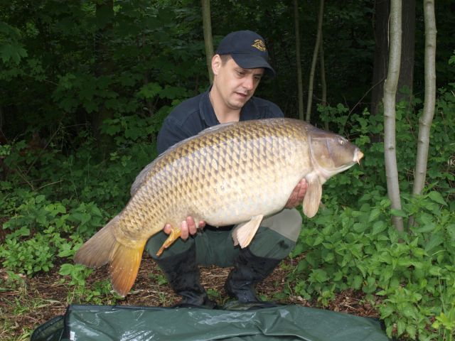 Detail fotografie - Kapr, Boilies Boss2 - Oliheň, 17,7 kg, Ústecký kraj