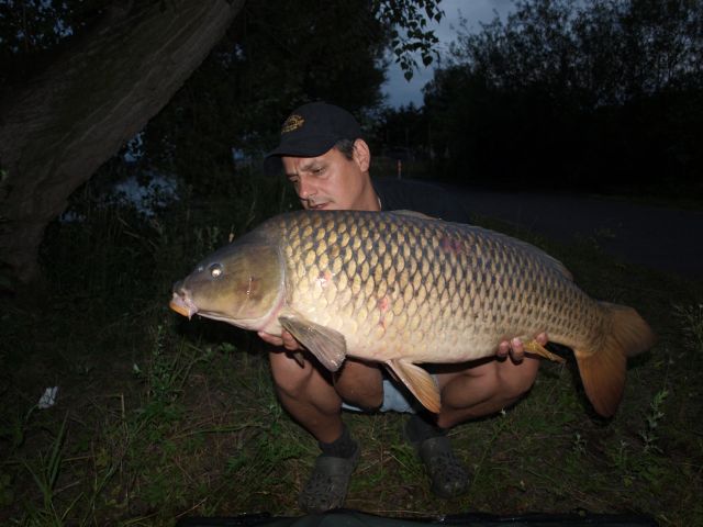 Detail fotografie - Kapr, Ostatní Boilies Carp Servis, 17,2 kg, 93 cm, Ústecký kraj