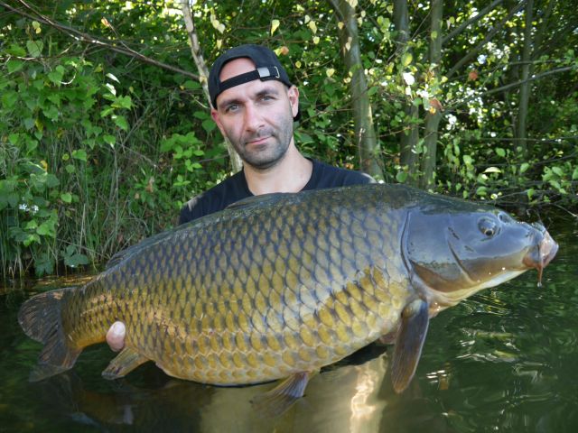 Detail fotografie - Kapr, Ostatní Boilies Carp Servis, Pardubický kraj