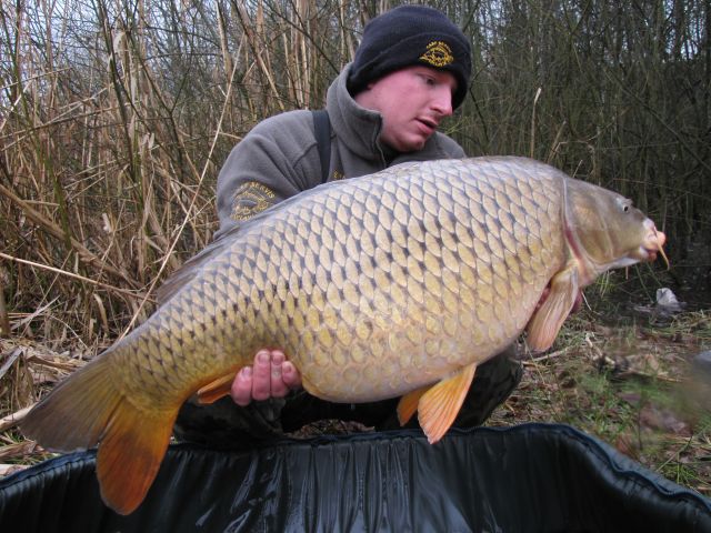 Detail fotografie - Kapr, Ostatní Boilies Carp Servis, 11,0 kg, 82 cm, Královéhradecký kraj