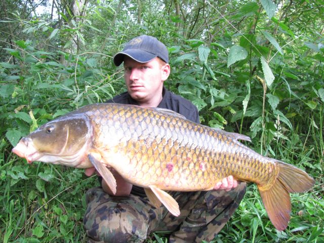 Detail fotografie - Kapr, Ostatní Boilies Carp Servis, 11,0 kg, 85 cm, Pardubický kraj