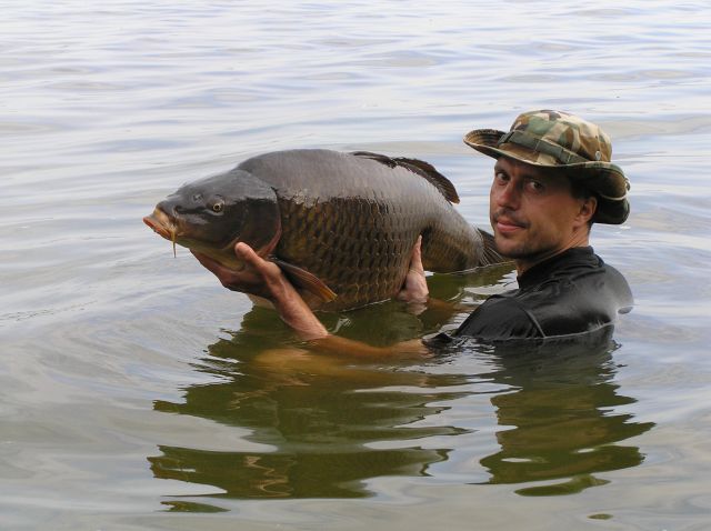 Detail fotografie - Kapr, Ostatní Boilies Carp Servis, Česká republika