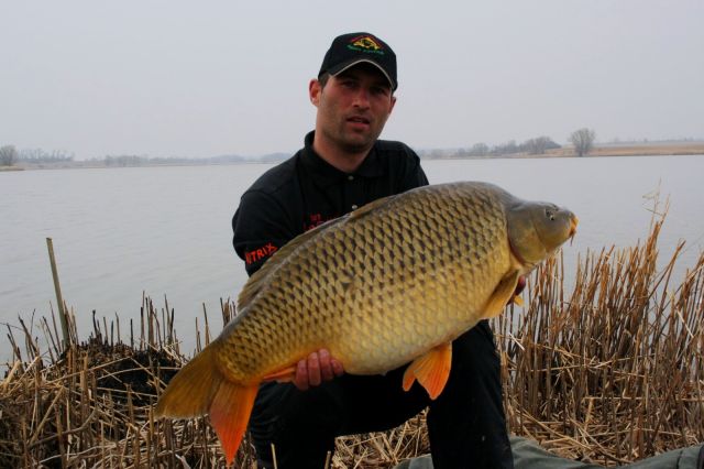 Detail fotografie - Kapr, Ostatní Boilies Carp Servis, Maďarsko