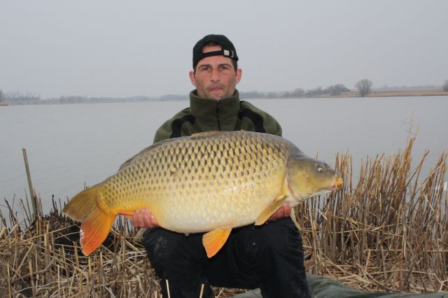 Detail fotografie - Kapr, Ostatní Boilies Carp Servis, Maďarsko