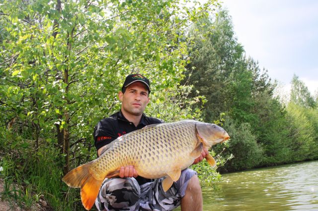 Detail fotografie - Kapr, Ostatní Boilies Carp Servis, Pardubický kraj