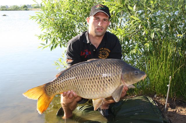 Detail fotografie - Kapr, Ostatní Boilies Carp Servis, Pardubický kraj