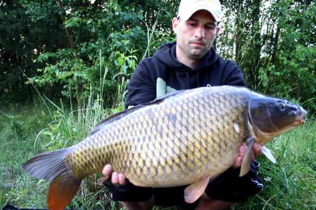 Detail fotografie - Kapr, Ostatní Boilies Carp Servis, Pardubický kraj