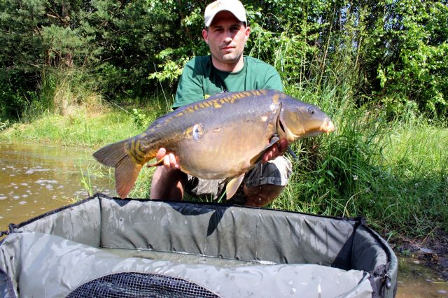 Detail fotografie - Kapr, Ostatní Boilies Carp Servis, Pardubický kraj