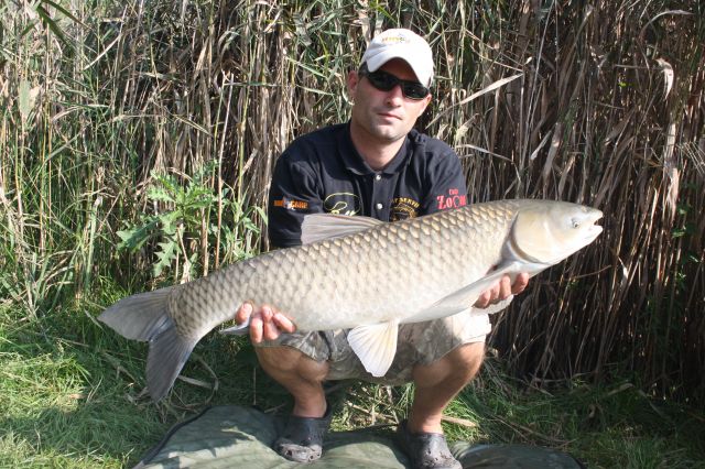 Detail fotografie - Amur, Ostatní Boilies Carp Servis, Ústecký kraj