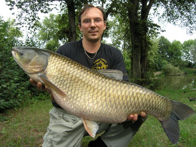 Detail fotografie - Amur, Ostatní Boilies Carp Servis, Pardubický kraj