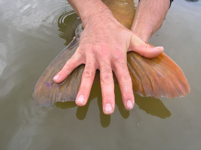 Detail fotografie - Rybářské téma, 21,0 kg, Španělsko