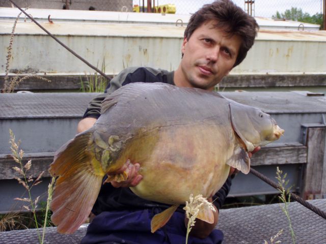 Detail fotografie - Kapr, Ostatní Boilies Carp Servis, Pardubický kraj