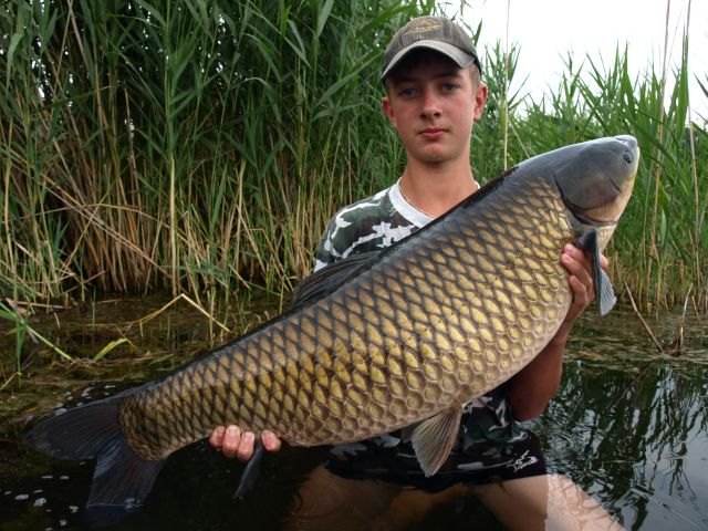 Detail fotografie - Amur, Pop Up boilies Carp Servis, 13,5 kg, 93 cm, Pardubický kraj