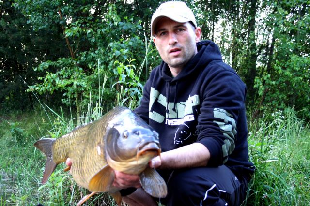 Detail fotografie - Kapr, Ostatní Boilies Carp Servis, Pardubický kraj