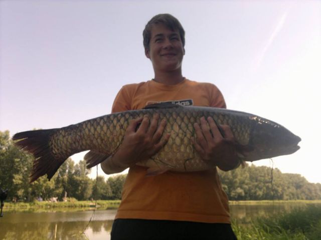 Detail fotografie - Amur, Boilies Boss2 - Cherry - Super Crab, 14,0 kg, 95 cm, Středočeský kraj