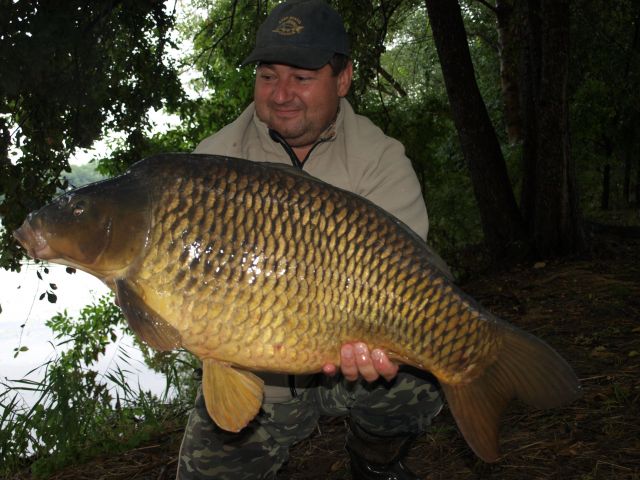 Detail fotografie - Kapr, Boilies Boss2 - Chobotnice, 13,3 kg, Ústecký kraj