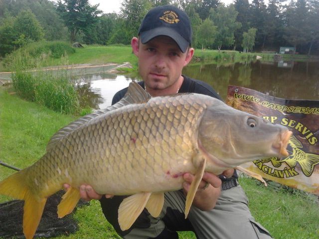 Detail fotografie - Kapr, Boilies Boss2 - Chobotnice, 81 cm, Jihočeský kraj