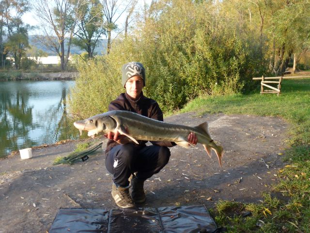 Detail fotografie - Jiné, Pop Up boilies Carp Servis, 10,2 kg, 116 cm, Slovensko