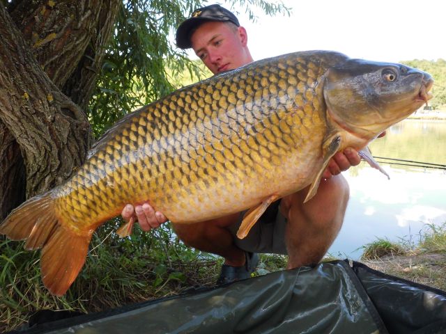 Detail fotografie - Kapr, Boilies Boss2 - Jahoda, 14,3 kg, 91 cm, Jihomoravský kraj