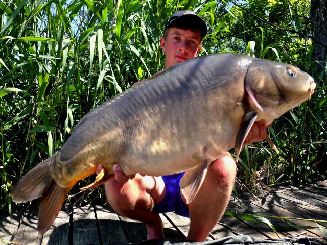 Detail fotografie - Kapr, Boilies Boss2 - Cherry - Super Crab, 12,5 kg, 85 cm, Maďarsko