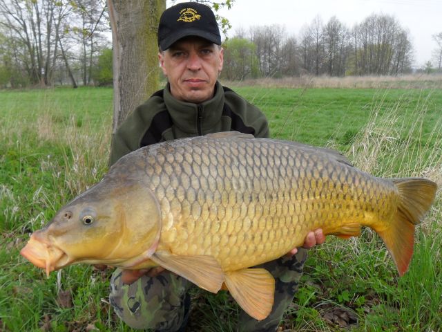 Detail fotografie - Kapr, Boilies Boss2 SPECIÁL - Brusinka, 10,0 kg, 80 cm, Pardubický kraj