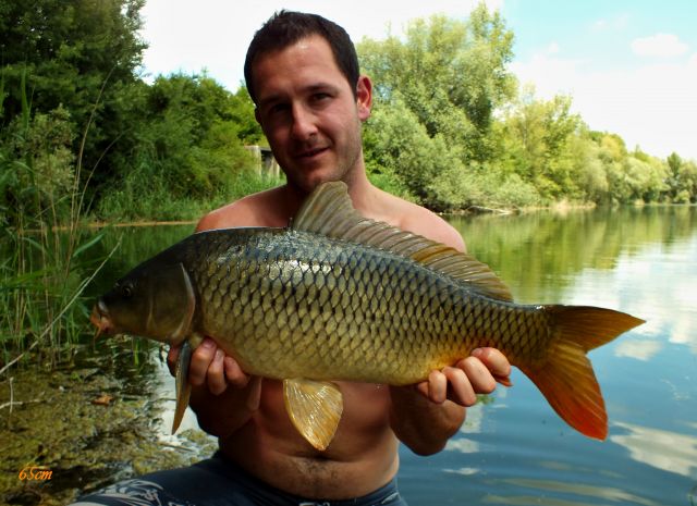 Detail fotografie - Kapr, Boilies Boss2 - Chobotnice, 5,0 kg, 65 cm, Středočeský kraj