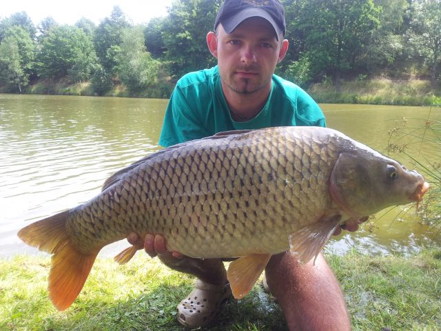 Detail fotografie - Kapr, Boilies Boss2 - Cherry - Super Crab, 11,5 kg, 83 cm, Jihočeský kraj