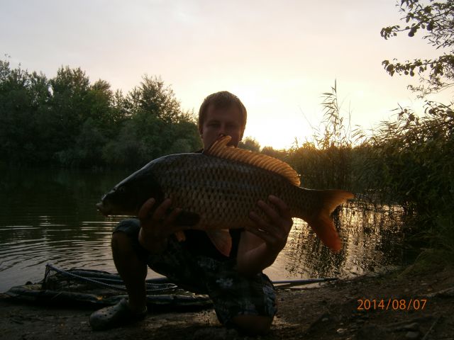 Detail fotografie - Kapr, Boilies Boss2 - Oliheň, 7,0 kg, 71 cm, Středočeský kraj