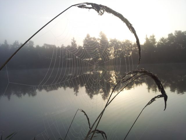 Detail fotografie - Krajina, Jihočeský kraj