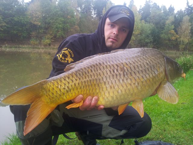 Detail fotografie - Kapr, Boilies Boss2 SPECIÁL - Přírodní játra, 80 cm, Jihočeský kraj