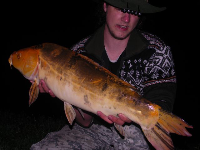 Detail fotografie - Kapr, Boilies Boss2 - Oliheň, 6,5 kg, 78 cm, Jihočeský kraj