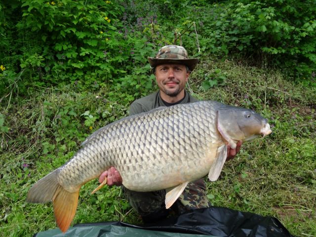 Detail fotografie - Kapr, Boilies Boss2 DOPING - Oliheň - Chobotnice, 21,5 kg, 105 cm, Jihomoravský kraj