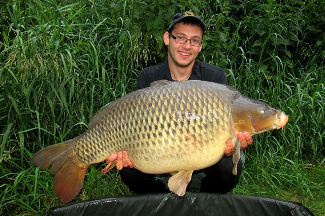 Detail fotografie - Kapr, Ostatní Boilies Carp Servis, Středočeský kraj