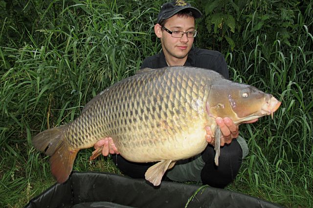 Detail fotografie - Kapr, Ostatní Boilies Carp Servis, Středočeský kraj