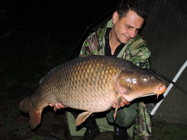 Detail fotografie - Kapr, Boilies Boss2 SPECIAL - Krill - kreveta, Česká republika