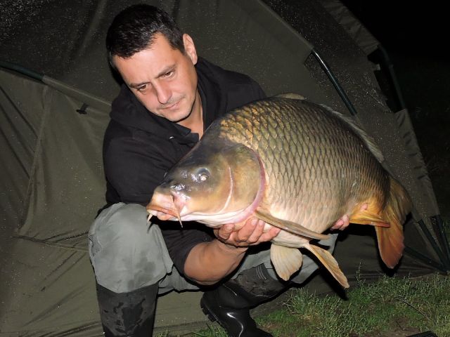 Detail fotografie - Kapr, Boilies Boss2 SPECIAL - Krill - kreveta, Česká republika