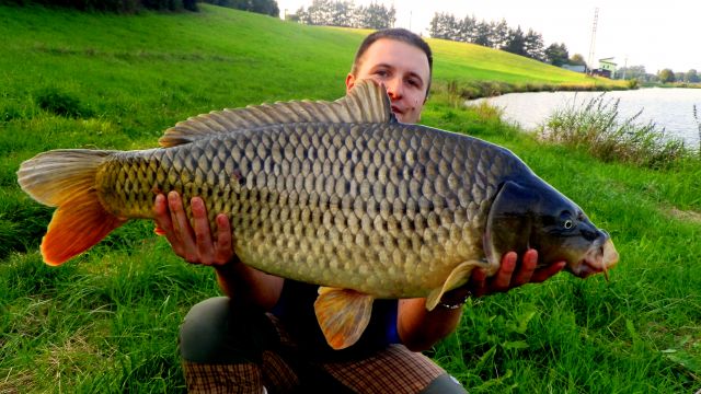 Detail fotografie - Kapr, Boilies Boss2 - Oliheň, 13,5 kg, 86 cm, Středočeský kraj