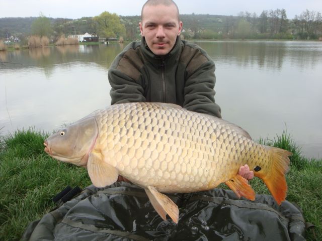 Detail fotografie - Kapr, 13,0 kg, 88 cm, Jihomoravský kraj