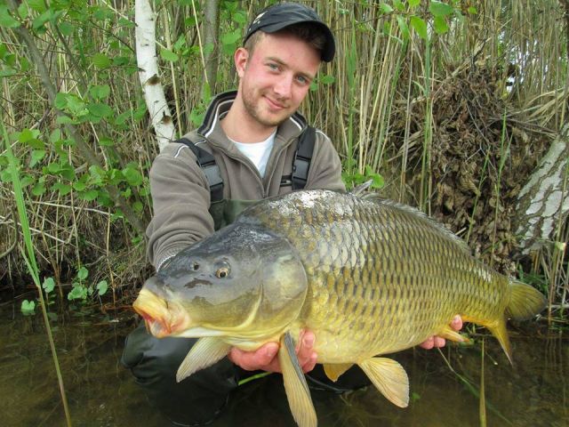 Detail fotografie - Kapr, Boilies Boss2 - Oliheň, Česká republika