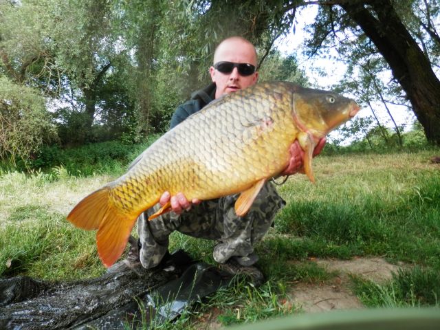 Detail fotografie - Kapr, Boilies Boss2 - Cherry - Super Crab, Jihomoravský kraj