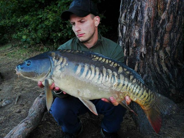 Detail fotografie - Kapr, Boilies Boss2 SPECIAL - Játra - vanilka, Jihočeský kraj