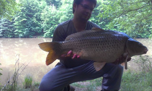 Detail fotografie - Kapr, Boilies Boss2 - Cherry - Super Crab, Jihočeský kraj