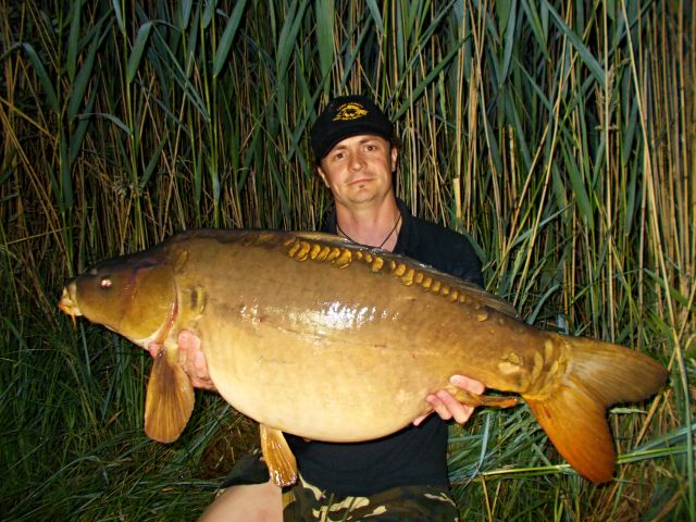 Detail fotografie - Kapr, Pop Up boilies Carp Servis, Česká republika