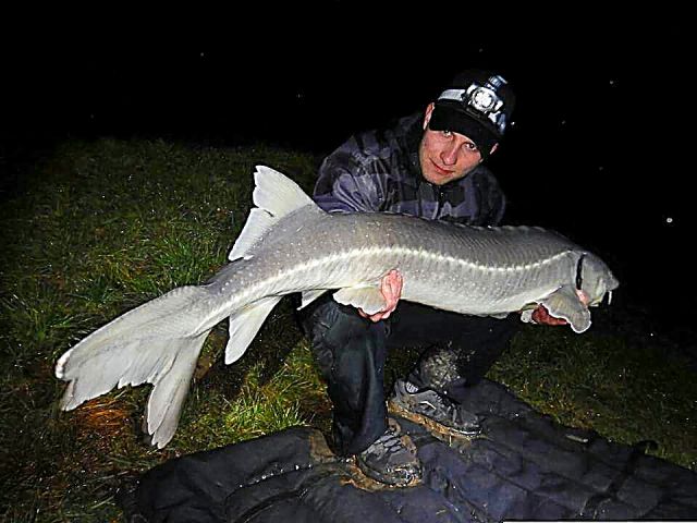 Detail fotografie - Jeseter, Boilies Boss2 SPECIAL - Játra - vanilka, 20,4 kg, 150 cm, Středočeský kraj